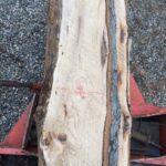 Live edge rough cut