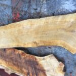 Live edge rough cut