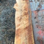 Live edge rough cut